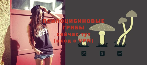 ГАЛЛЮЦИНОГЕННЫЕ ГРИБЫ Беломорск