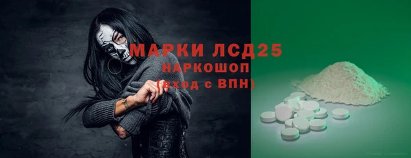 ГАЛЛЮЦИНОГЕННЫЕ ГРИБЫ Беломорск
