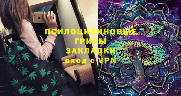 ГАЛЛЮЦИНОГЕННЫЕ ГРИБЫ Беломорск